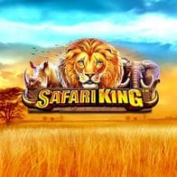 Safari King